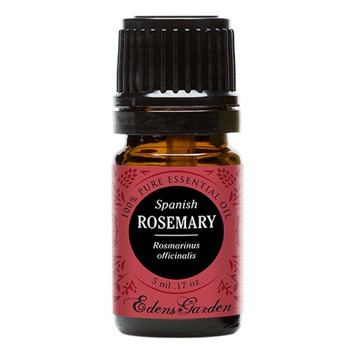 Rosemary (Spanish) 100% Pure Therapeutic Grade Essential Oil by Edens Garden- 5 ml