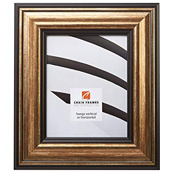 Craig Frames 21307201 22 by 28-Inch Picture Frame, Smooth Wrap Finish, 3.015-Inch Wide, Copper and Black