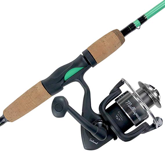 Tailored Tackle Universal Multispecies Fishing Rod and Reel Spinning Combo, Freshwater & Inshore Saltwater Fishing Pole 6 Ft 6 in Medium Fast Action Spinning Rod 7BB Reel