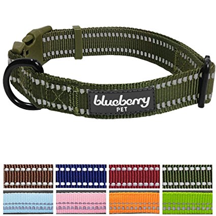Blueberry Pet 3M Reflective Adjustable Classic Solid Color Dog Collar, 8 Colors, Matching Leash Available Separately