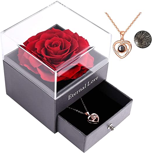 Real Preserved Rose - Eternal Rose Gift Box with Love You Necklace in 100 Languages Gift Box, Handmade Fresh Rose Gift for Her on Birthday,Christmas,Mother's Day,Valentine's Day (with Heart Necklace)