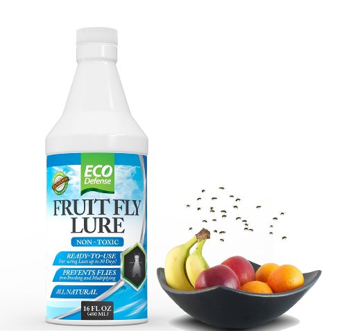 Eco Defense Fruit Fly Trap - All Natural Non Toxic Fruit Fly Lure for Kitchen Resturants and More - 16 oz