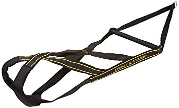 Dean and Tyler Nylon Weight Pulling Harness, Black, Medium - Head up to 27-Inch