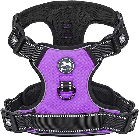 PoyPet No Pull Dog Harness with 4 Snap Buckles, Reflective with Front & Back 2 Leash Hooks and an Easy Control Handle [NO Need Go Over Dog’s Head](Purple,XXL)