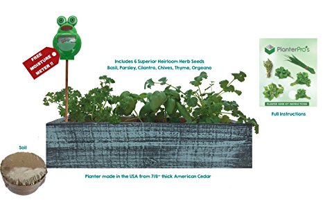 Cedar Wood Planter Box - Complete Mini Herb Garden Kit - Indoor Garden Seeds Growing Kit - Grow Cooking Herbs Basil, Chives, Thyme, Oregano, Parsley & Cilantro - Choice of 2 Colors