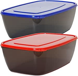 Youngever 2 Pack Extra Large Food Storage Containers (2.5 Gallon 15 inch x 11 inch x 5 inch)