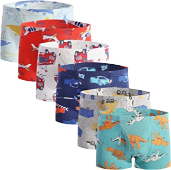 Taxzode Fenhant Little Boys Soft Cotton Briefs Dinosaur Truck Shark Baby Toddler Kids Underwear 6-8-9 Pack