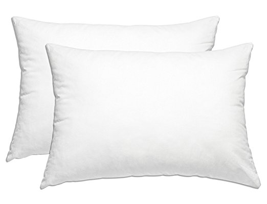 Standard Size Pillows 2 Pack - Fluffy and Comfortable - White 20 x 26 Inch - Comfy Fluff and Plush - Two Pillow Set - Standard - Softer Than Feather Goose Down - Luxury Hotel Quality