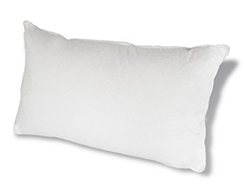 Down Etc 75-Percent White Goose Feathers Hypoallergenic Standard Pillow, White