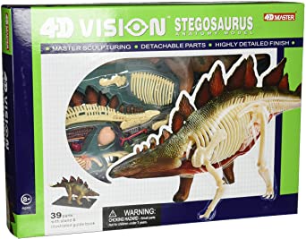 Famemaster 4D Vision Stegosaurus Anatomy Model