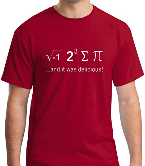 Raw T-Shirt's I Ate Some Pie and It Was Delicious - Funny Nerdy Math Men's T-Shirt
