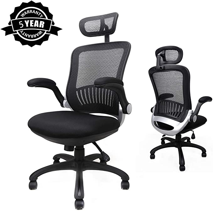 Ergousit Ergonomic Office Chair Mesh Desk Chairs High Back Computer Task Chairs with Adjustable Backrest, Headrest, Armrest and Seat Height 3-5 Day Arrives (4042)