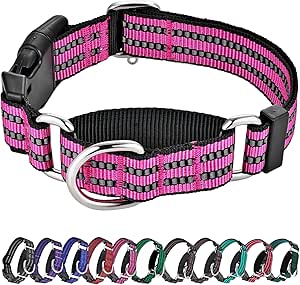 Hikiko Martingale Dog Collars Reflective Nylon Puppy Dog Collar with Quick Release Buckle Adjustable Training No Slip Dog Collar (X-Small, Pink)