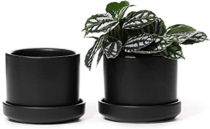 Succulent Planter - POTEY 3.5 Inch Small Cylinder Ceramic Plant Pots with Drainage Holes and Trays for House Plant, Modern Home Decor - 800, Black, Set of 2