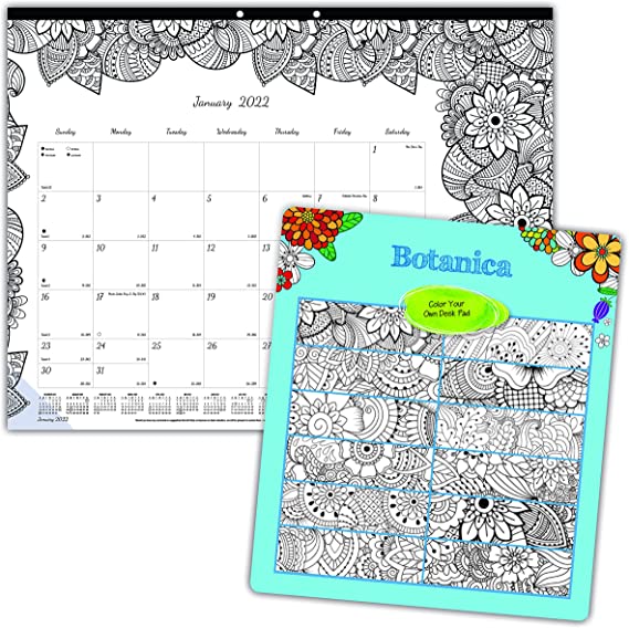 Blueline 2022 DoodlePlan Monthly Coloring Desk Pad Calendar, 12 Months, January to December, 22" x 17", Botanica Designs (C2917311-22), Black
