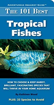 The 101 Best Tropical Fishes