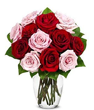 Flowers - One Dozen Red and Pink Roses (Free Vase Included)