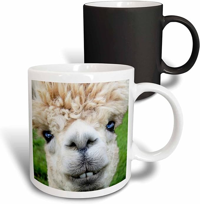 3dRose Alpaca Lama South America, Transforming, Black/White Mug, 11 oz