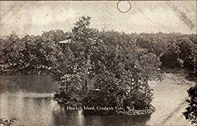 Henckels Island, Cranberry Lake Byram Township, New Jersey Original Vintage Postcard