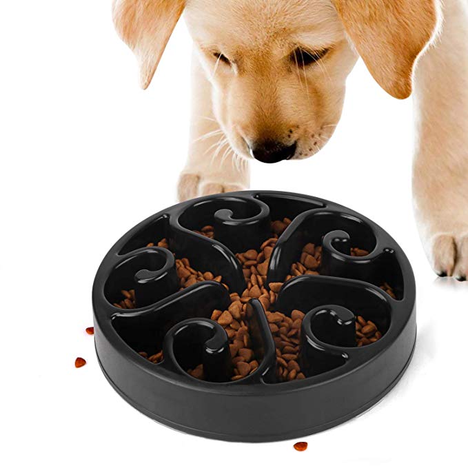 JASGOOD Slow Feeder Dog Bowl New Arriving Fun Feeder Slow Feeding Interactive Bloat Stop Dog Bowls