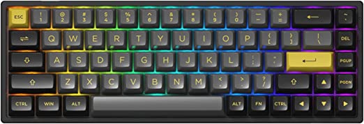 Akko 3068B Black & Gold 65% 68-Key RGB Hot-swappable Mechanical Gaming Keyboard, 2.4G Wireless/Bluetooth/Wired with PBT Double-Shot Keycaps for Mac & Win - Jelly Pink Linear Switches