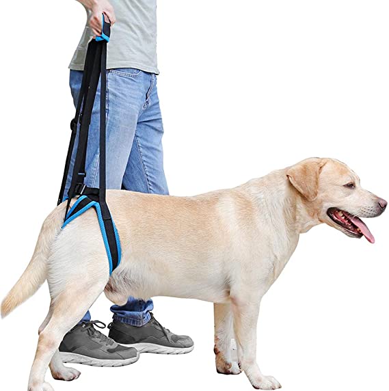 Rantow Adjustable Pet Dogs Lift Support Harness Breathable Mesh Padded Sling Straps Canine Support Rehabilitation for Injuries Arthritis Weak hind Legs & Joints, Blue