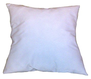 10x10 Square Pillow Insert Form
