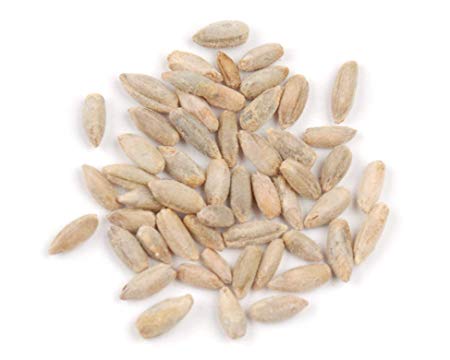 Rye Berries, 10 Pounds