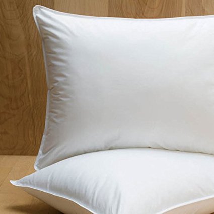 Extra Firm White Goose Down Pillow Pillow Size: Standard