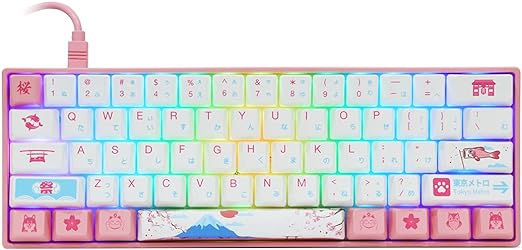 EPOMAKER 3061 R2 World Tour Tokyo 61 Keys RGB 60% Wired Mechanical Keyboard with PBT Japanese Keycaps, NKRO for Gamers/Mac/Win (Gateron Yellow Switch, 61 Japanese Keys)