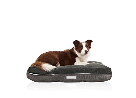LaiFug Double-side Memory Foam Pet/Dog Bed with Removable Washable Cover