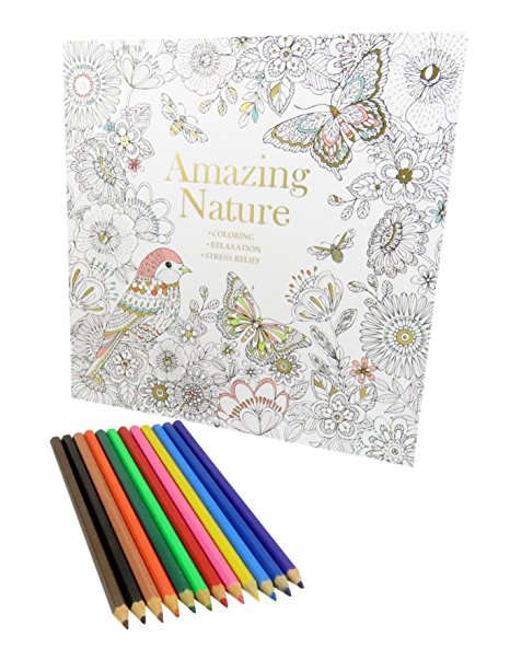 Rainbow Colored Pencil Set Art Tools (12) With Amazing Nature Coloring Book 50 Pages (Bundle of 2)