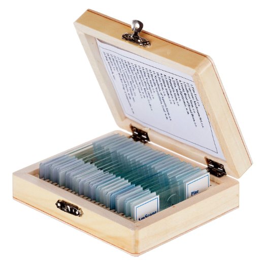 AmScope PS25 Prepared Microscope Slide Set for Basic Biological Science Education 25 Slides Includes Fitted Wooden Case