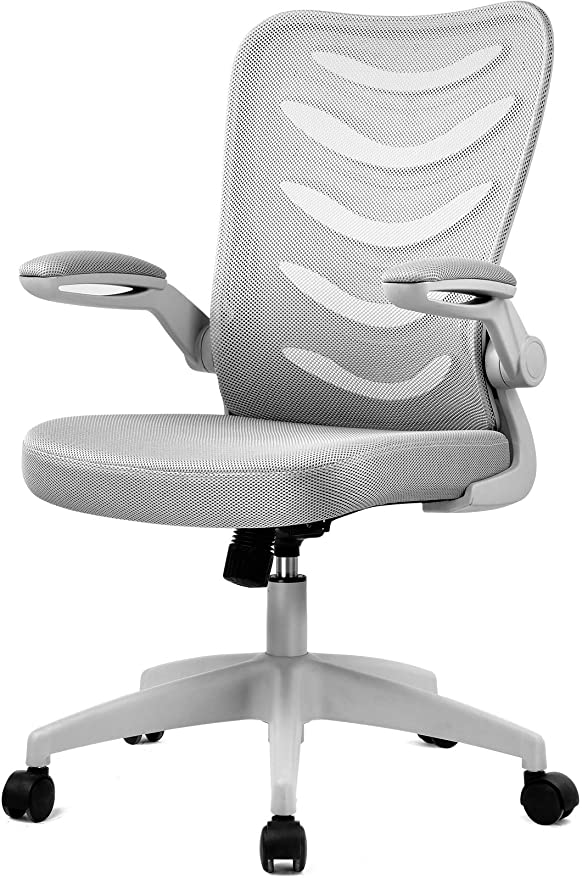Desk Chair Ergonomic Office Computer Chair Mesh Computer Chair with Flip Up Arms Lumbar Support and Mid Back Gray