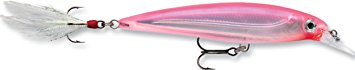 Rapala X-Rap Jerkbait XR10 Fishing Lure