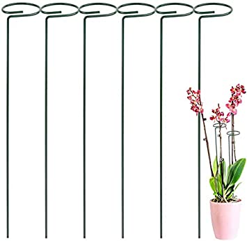 6PCS Plant Support Stakes Steel Garden Flower Support Stake Steel Single Stem Support Stake Plant Cage Support Ring for Flower, Rose, Tomatoes, Lily, Peony (40 cm/15.8 inch Long)