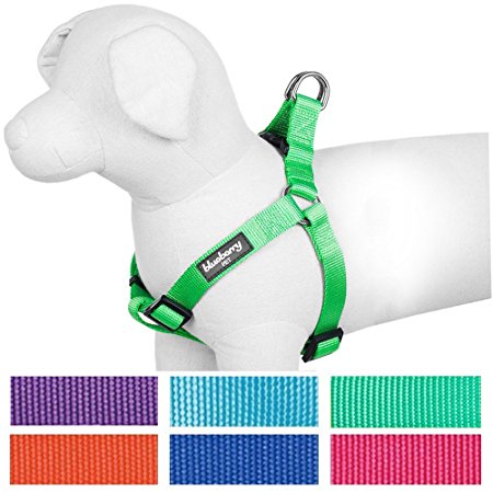 Blueberry Pet Classic Solid Color Adjustable Dog Harness, 7 Colors, Matching Collar & Leash Available Separately