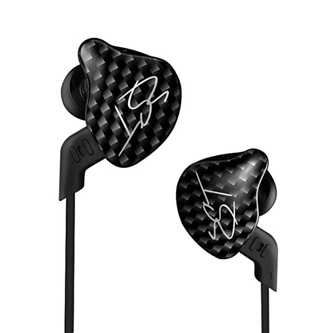 Dilvpoetry KZ ZST Dynamic Hybrid Dual Driver in Ear Earphones (Black Without Mic)