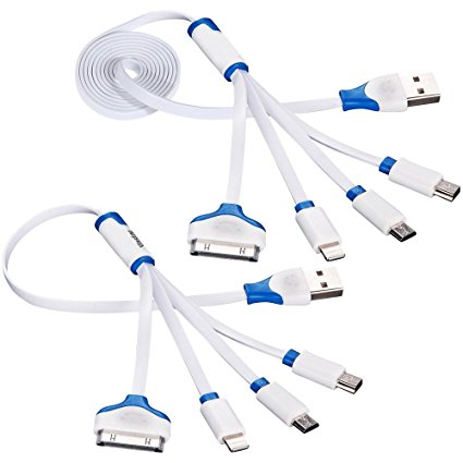 Vastar 2 Packs 4-in-1 USB Charging Cable Adapter, 3.3 Feet and 1 Feet Multiple Charging Cable Connector with Micro USB/Mini USB Ports for iPhone 6,5,4 and iPad 4,3,2,Air,Galaxy S4,S5,Nexus 5 and More