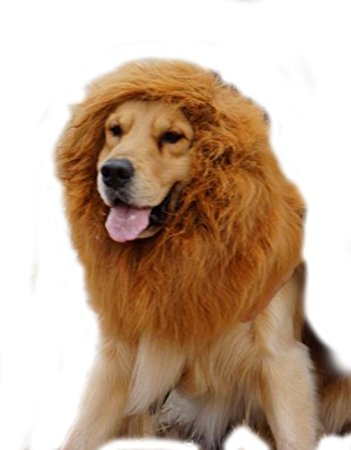 KLAREN Large Pet Dog Cat Lion Wigs Mane Hair Festival Party Fancy Dress Clothes Costume(Brown, L)