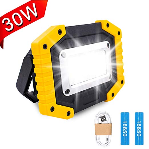 Lambony LED Rechargeable Work Light, 30W Floodlight Battery Security Light with 3 Modes Outdoor COB Floodlight Camping Lights with USB Waterproof for Yard, Garage, Fishing, Hiking(Batteries Included)