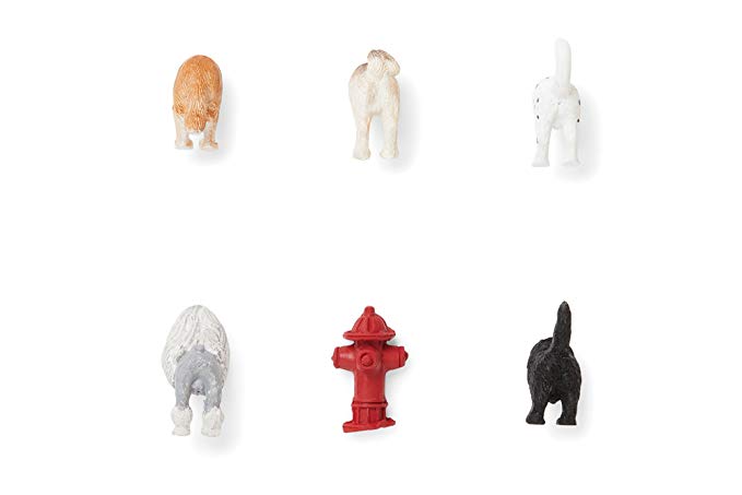 Fox Run 48744 Dog Butt Magnets (Set of 6), One Size, Multicolor