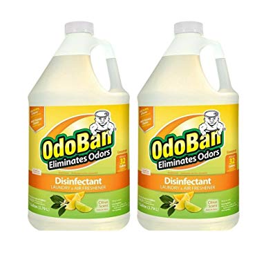 OdoBan Citrus Odor Eliminator and Disinfectant Multi-Purpose Cleaner Concentrate (2 Gal), 2 Pack