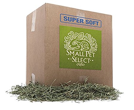 Small Pet Select 3rd Cutting "Super Soft" Timothy Hay Pet Food