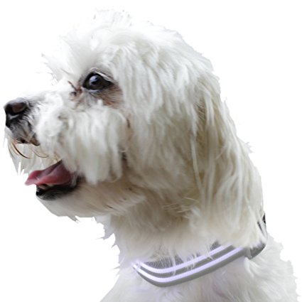 PetsLine Black Rechargeable Safety Adjustable LED Light Up Flashing Dog Collar