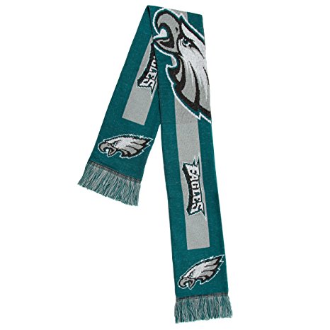 NFL 2016 Big Logo Scarf