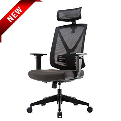 Ergonomic High Mesh Swivel Executive Chair with Adjustable Height, Head, Arm Rest, Lumbar Support and Upholstered Back for Home Office