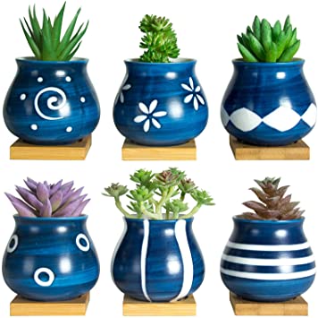 Cute Succulent Pots with Bamboo Tray - 3" Succulent Planters with Drainage Hole Ceramic Planter Tiny Pots for Indoor Small Plants, Blue and White Planters Cactus Container Set of 6