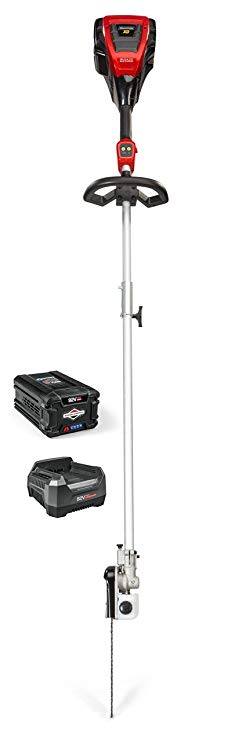 Snapper XD 82V Electric Cordless Pole Saw Kit with 2.0 Battery & Rapid Charger, 1687916, SXD82ZPSK