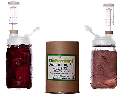 Go Ferment! Wide Mouth Mason Jar Mold Free Anaerobic Fermenting Kit w/ Recipe E-book (2 Pack, White)